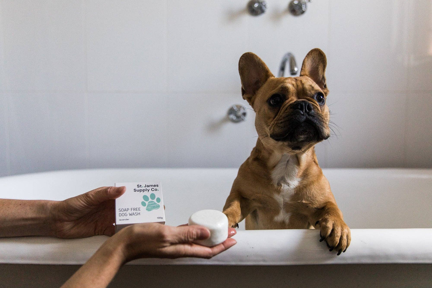 Pet Care
