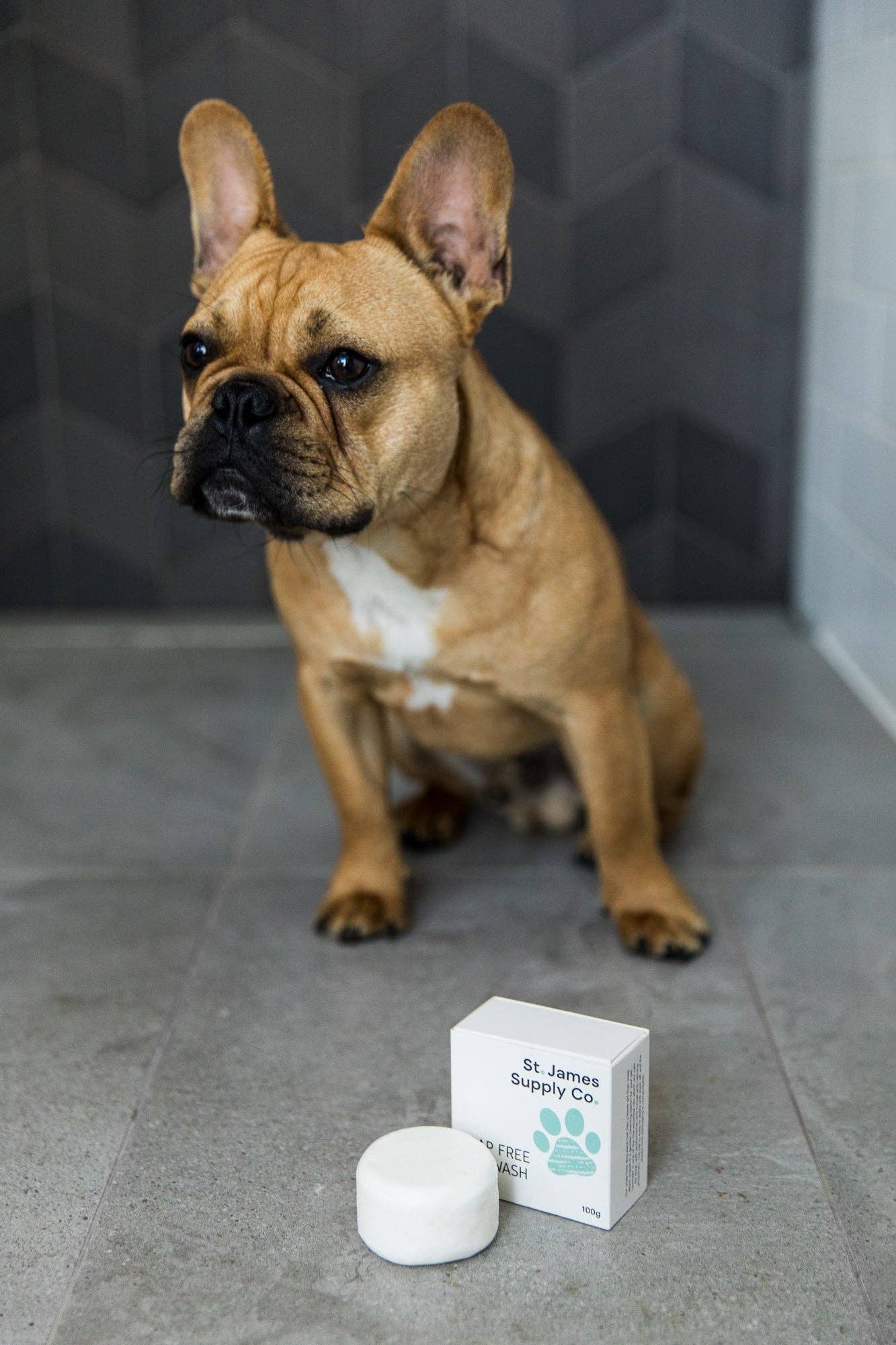 Soap Free - Pet Wash