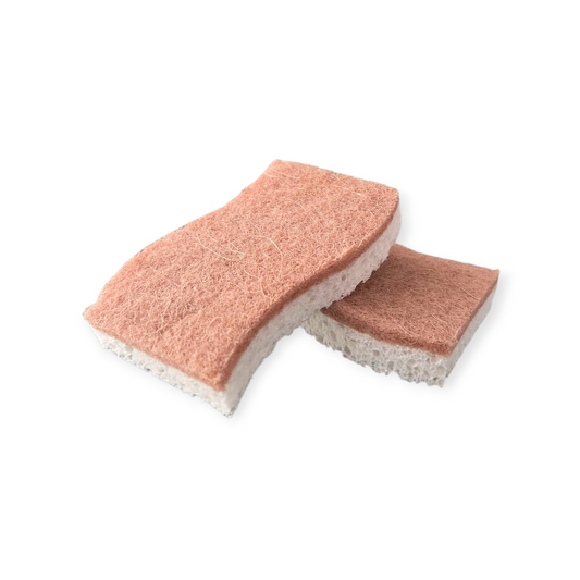 Biodegradable Kitchen Sponge, Set of 4