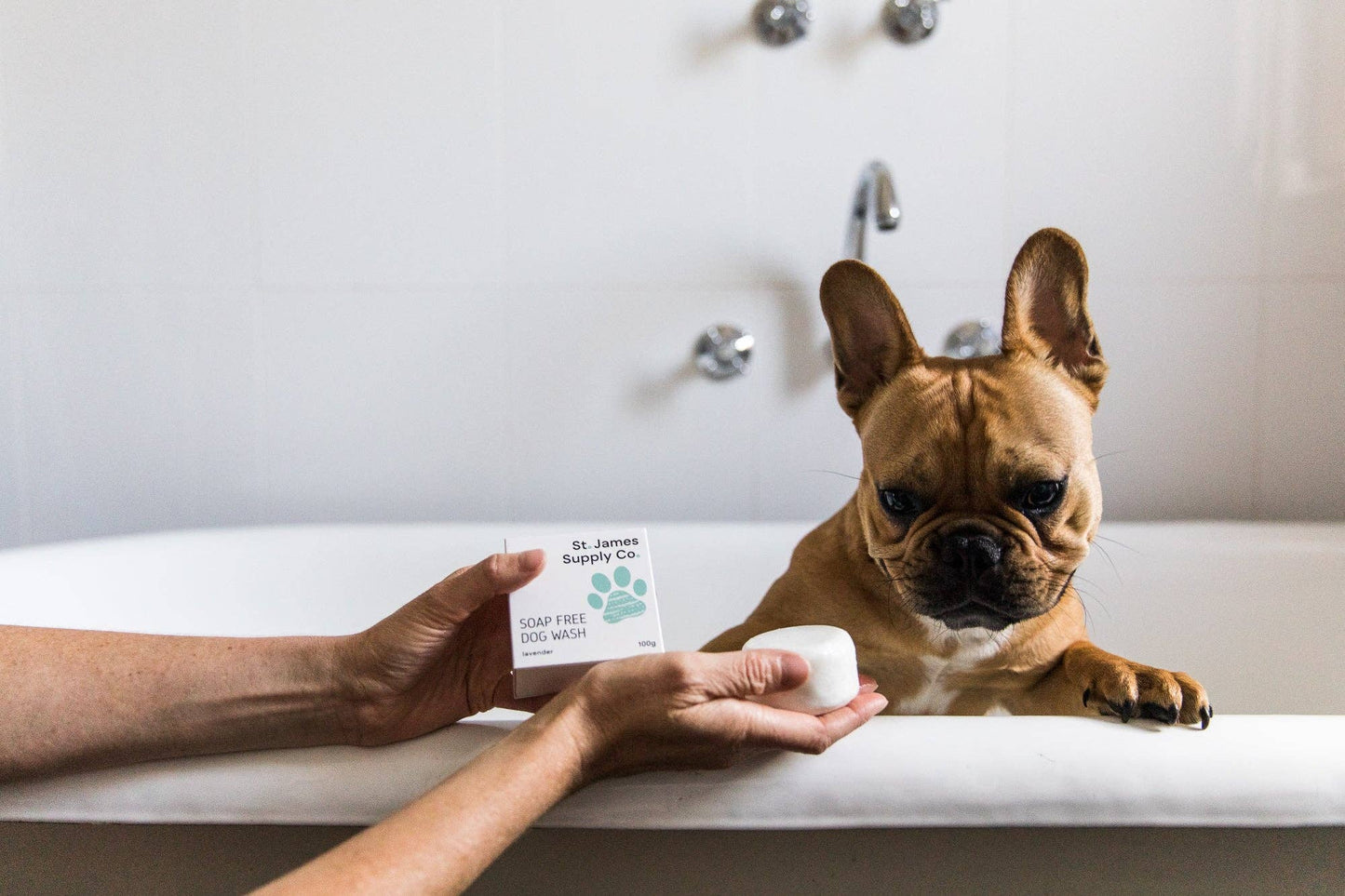 Soap Free - Pet Wash