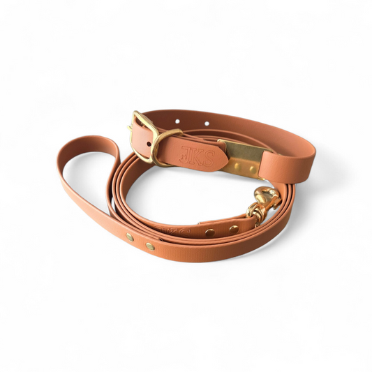 JKS Biothane Dog Collar & Lead Set